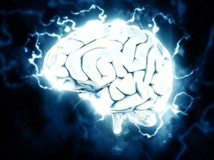 %EB%87%8C_2.jpg