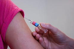 %EC%A3%BC%EC%82%ACvaccination-1215279__3